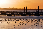 ma's atelier Sonnenuntergang Fehmarnsundbrcke