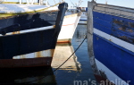 ma's atelier Fischereihafen Burgstaken auf Fehmarn