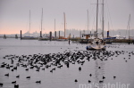 ma's atelier Yachthafen Burgstaaken auf Fehmarn