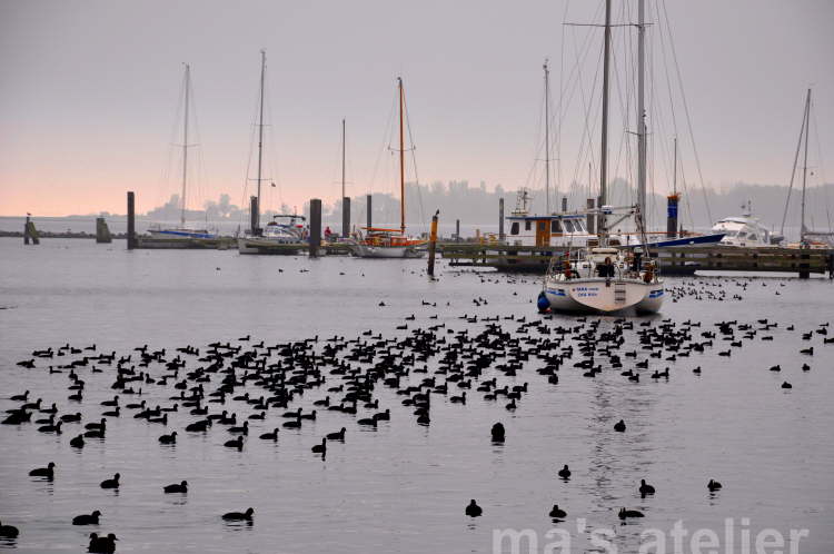 ma's atelier Yachthafen Burgstaaken auf Fehmarn