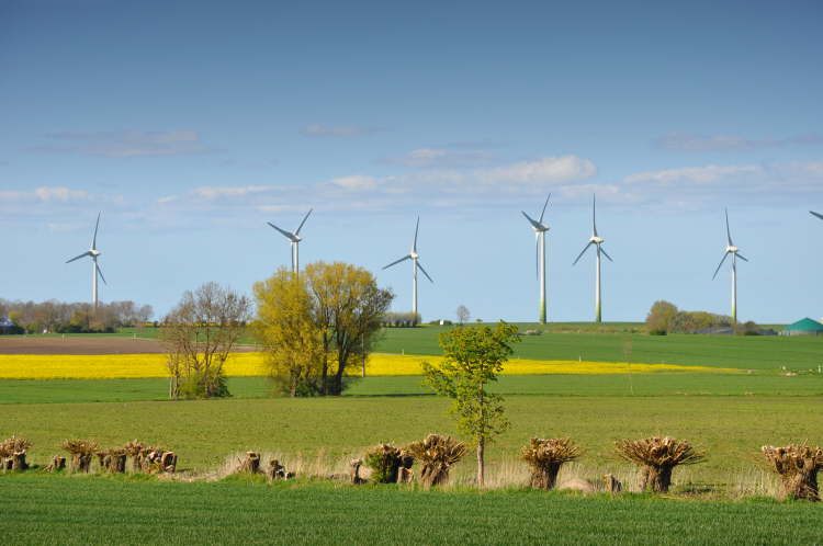 ma's atelier Windrder bei Gahlendorf auf Fehmarn