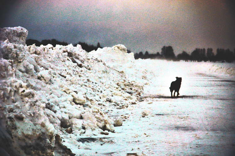 ma's atelier Winter auf Fehmarn